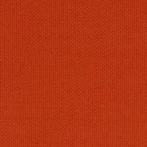 Sunrise-Pumpkin-SBSR004
