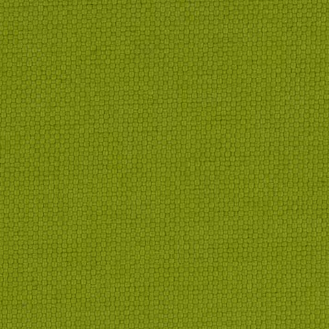 Sunrise-lime-SBSR005