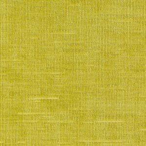 HR-22_fern_MG_9825