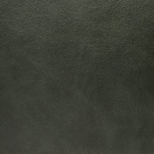 Izumi_avocado-iz004