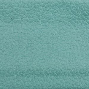 MUJI_Mint_MJ-007_crop