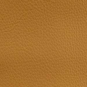 ROMA_RM003_Camel-109